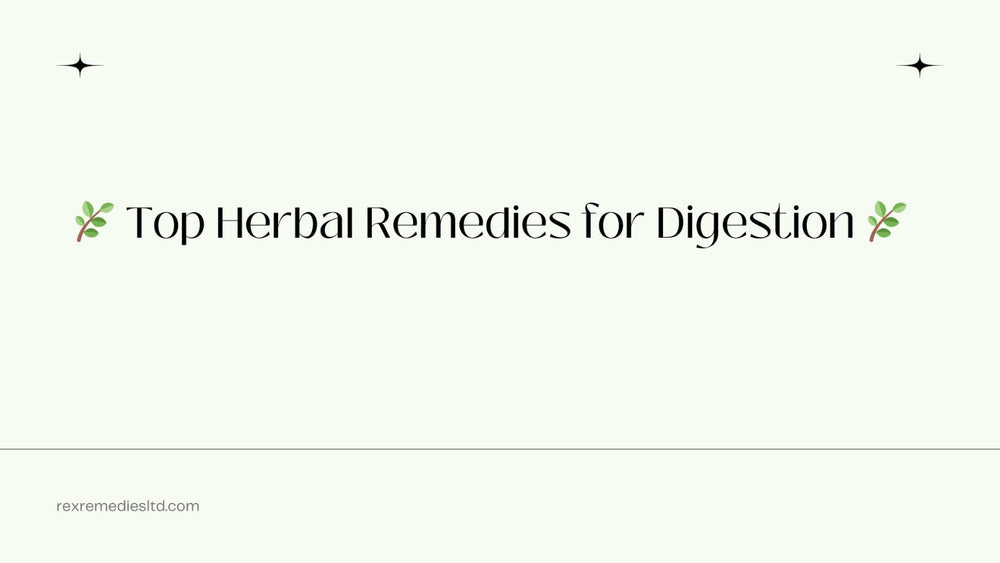 Top Herbal Remedies for Digestion