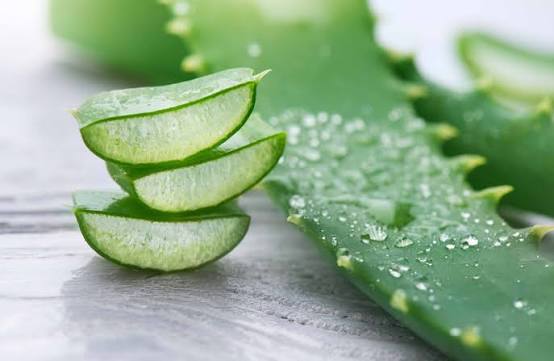 ALOE VERA