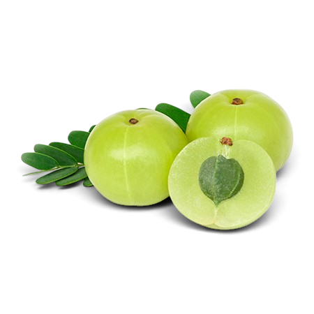 AMLA KHUSHK
