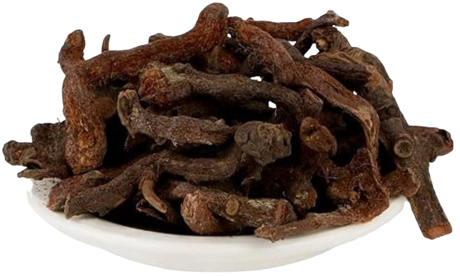 BISFAEJ