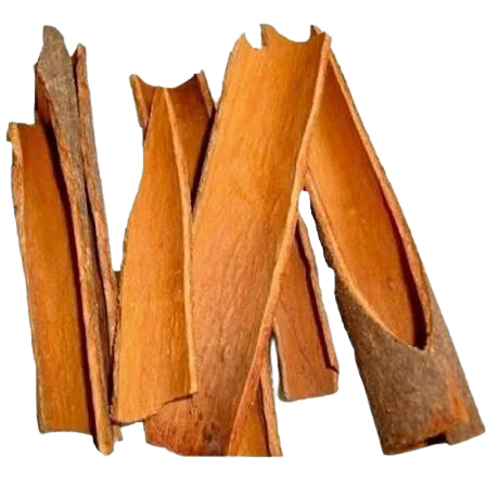 DARCHINI