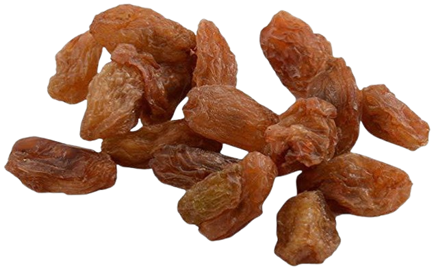 MUNAQQA